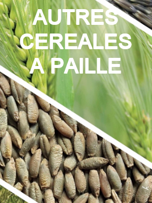 autres cereales