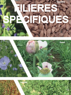 filieres specifiques